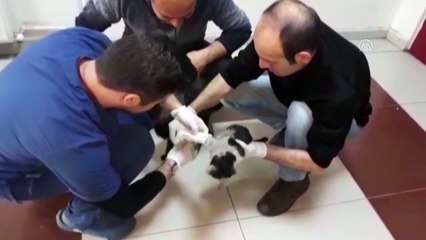 Minik Yumak'a hastane personelinden şefkat eli - ERZURUM