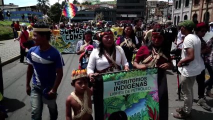 France - Equateur : au fait, d'où viennent les Equatoriens ?