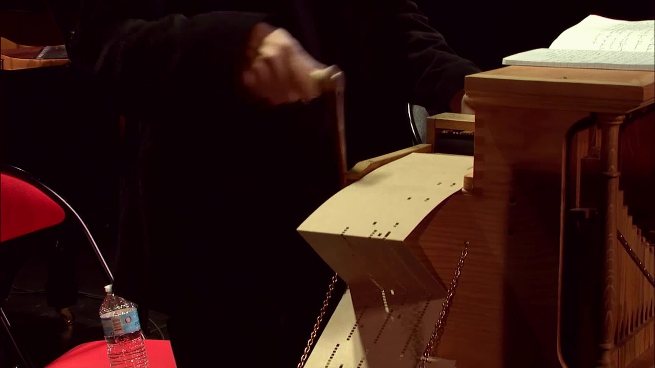 Strauss : Le Beau Danube Bleu (Arnaud Marzorati, orgue de Barbarie)