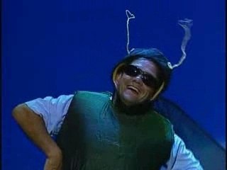 Inconnus - Les Insectes Sont Nos Amis