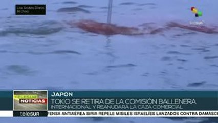 Japón se retira de la comisión que protege a las ballenas