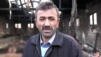Ahır yangınında 12 büyükbaş hayvan telef oldu - YOZGAT