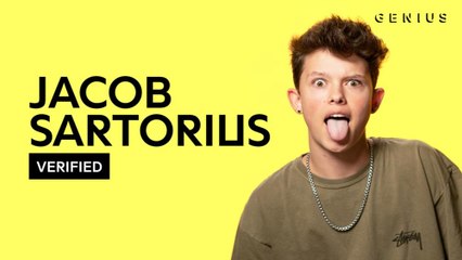Jacob Sartorius "Better With You" Official Lyrics & Meaning | Verified