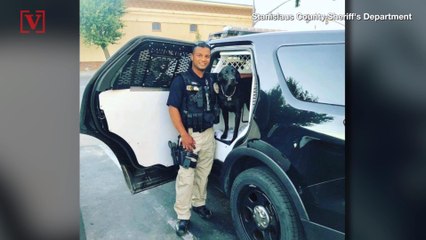 The Search Is On for Suspect in Fatal Traffic Stop Shooting of Officer