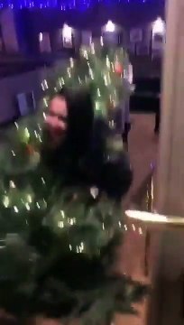 Déguisée en.. arbre de noel ! elle danse dans le sapin directement !