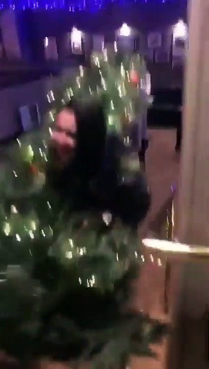 Déguisée en.. arbre de noel ! elle danse dans le sapin directement !