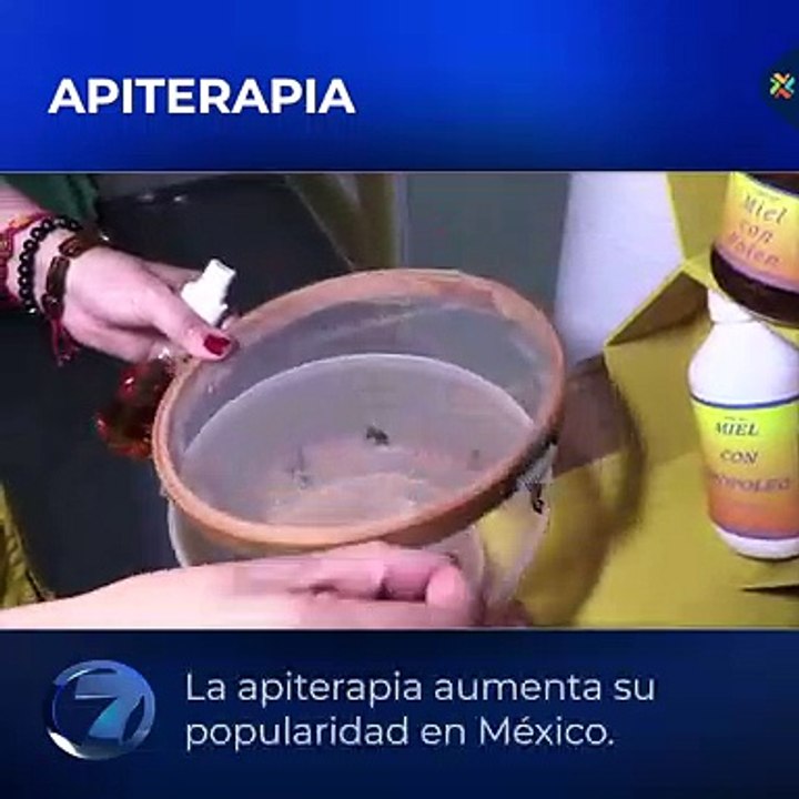 Apiterapia