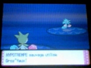 Capture de Hypotrempe shiney