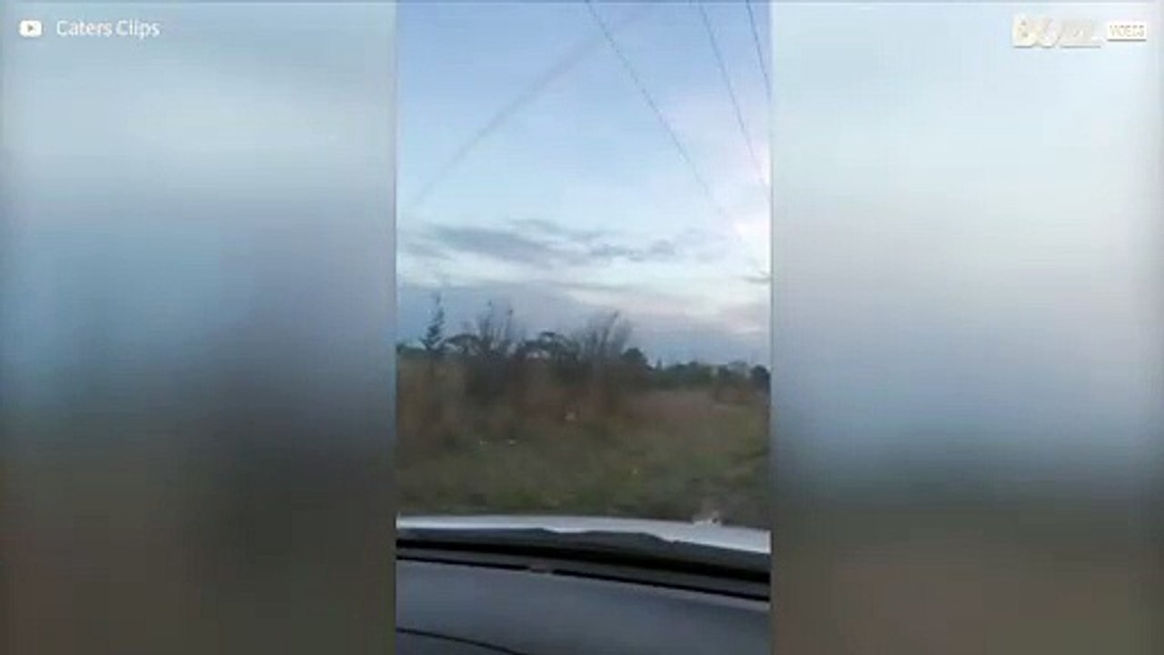 UFO-observasjon i Australia