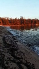 Video herunterladen: La glace de ce lac fait un bruit d'orchestre - Lac Huron, Michigan