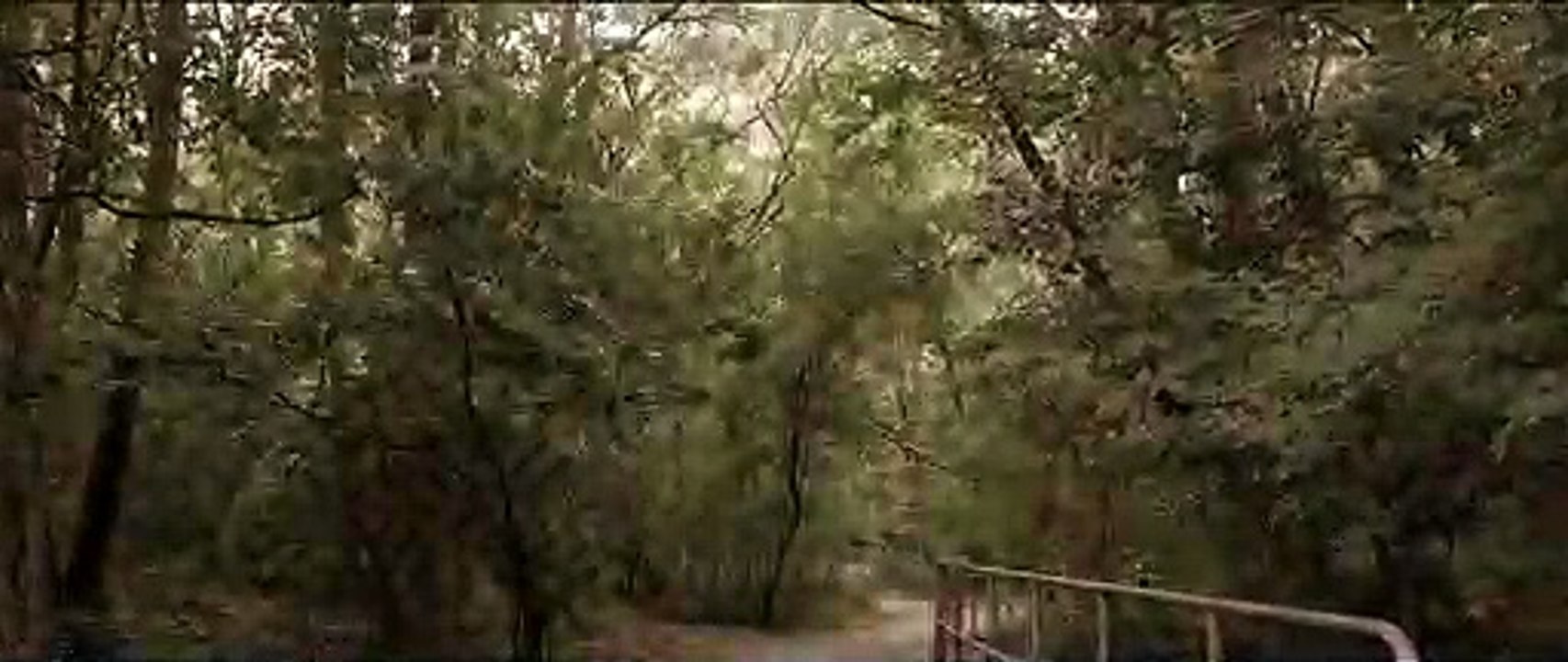 The Dog Walker Trailer (HD) 2017