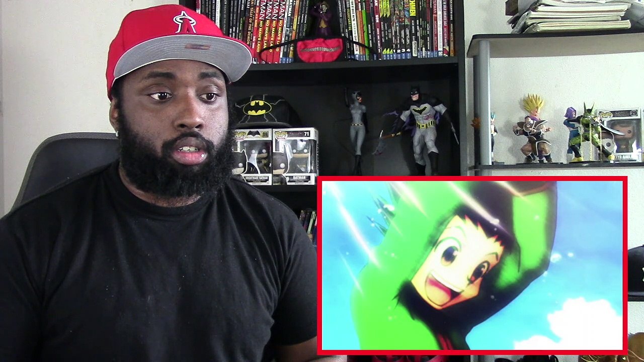 hxh1 reaction