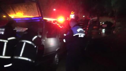 Adana Otomobil Refüjdeki Ağaçlara Çarptı: 3 Yaralı