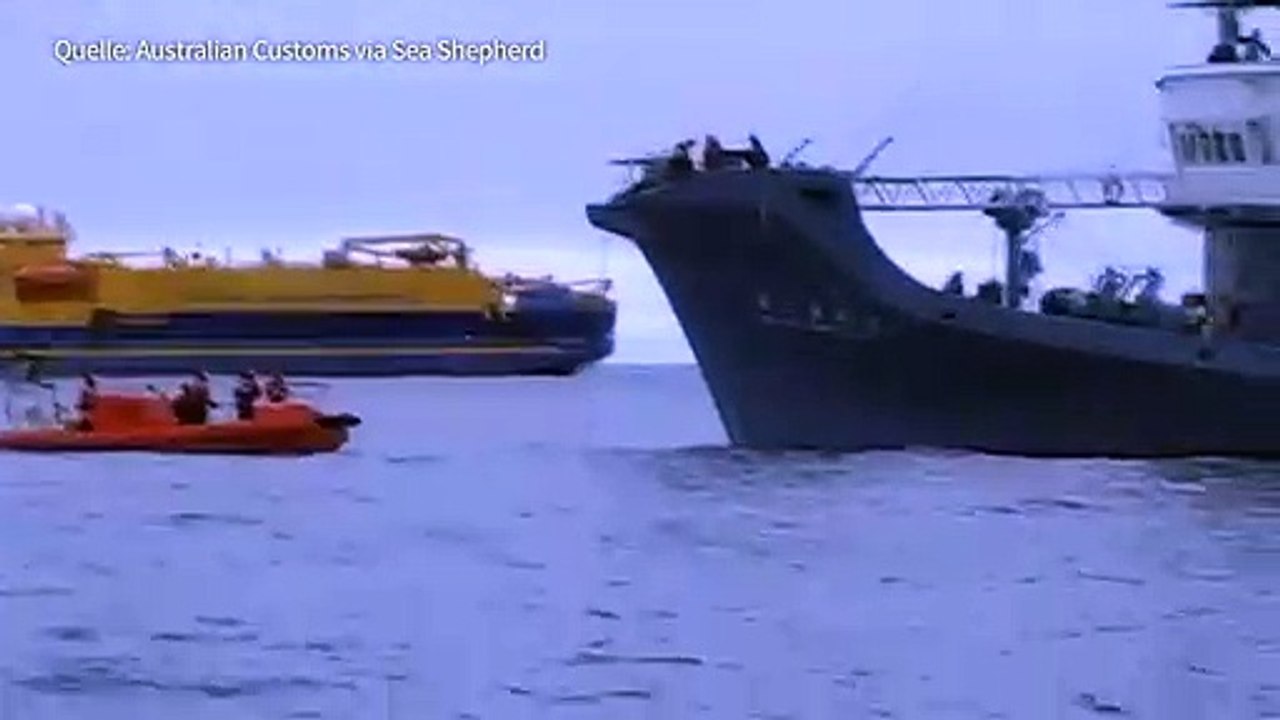 Japan will Walfang wieder aufnehmen