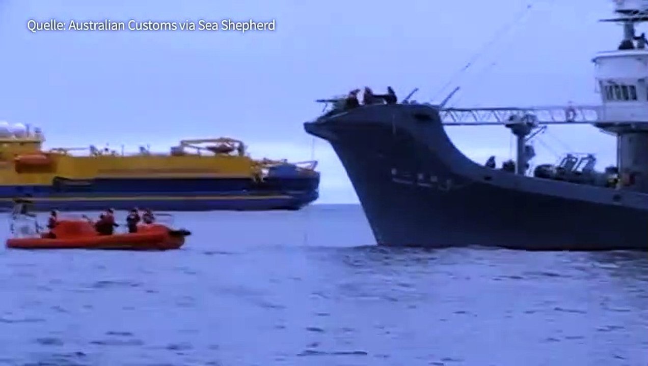 Japan will Walfang wieder aufnehmen