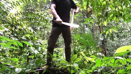 Survival Instinct - Unpredictable threats from the wild