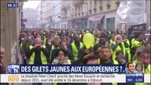 Y aura t-il des gilets jaunes aux européennes ?