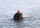 Dalgıç Polis, Buzları Kırıp Donmak Üzere Olan Köpeği Kurtardı