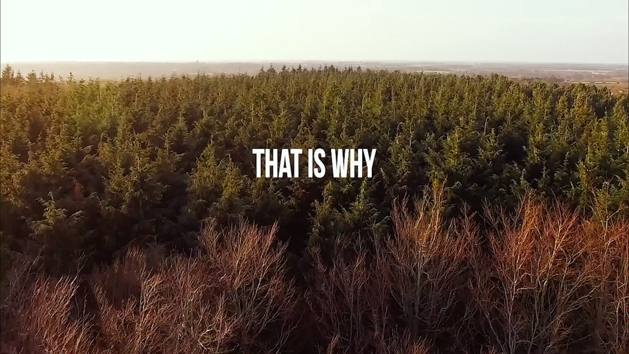 2019 VLOGS [TRAILER]