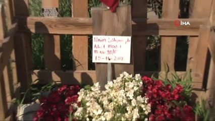 Naim Süleymanoğlu'nun Babalık Davasında Karar Kesinleşti