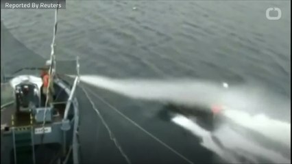 Japan Drops Out Of International Whaling Commission