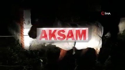 At donmasın diye öyle bir şey yaptılar ki...