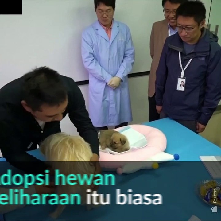 #1MENIT | Jasa Kloning hewan Peliharaan