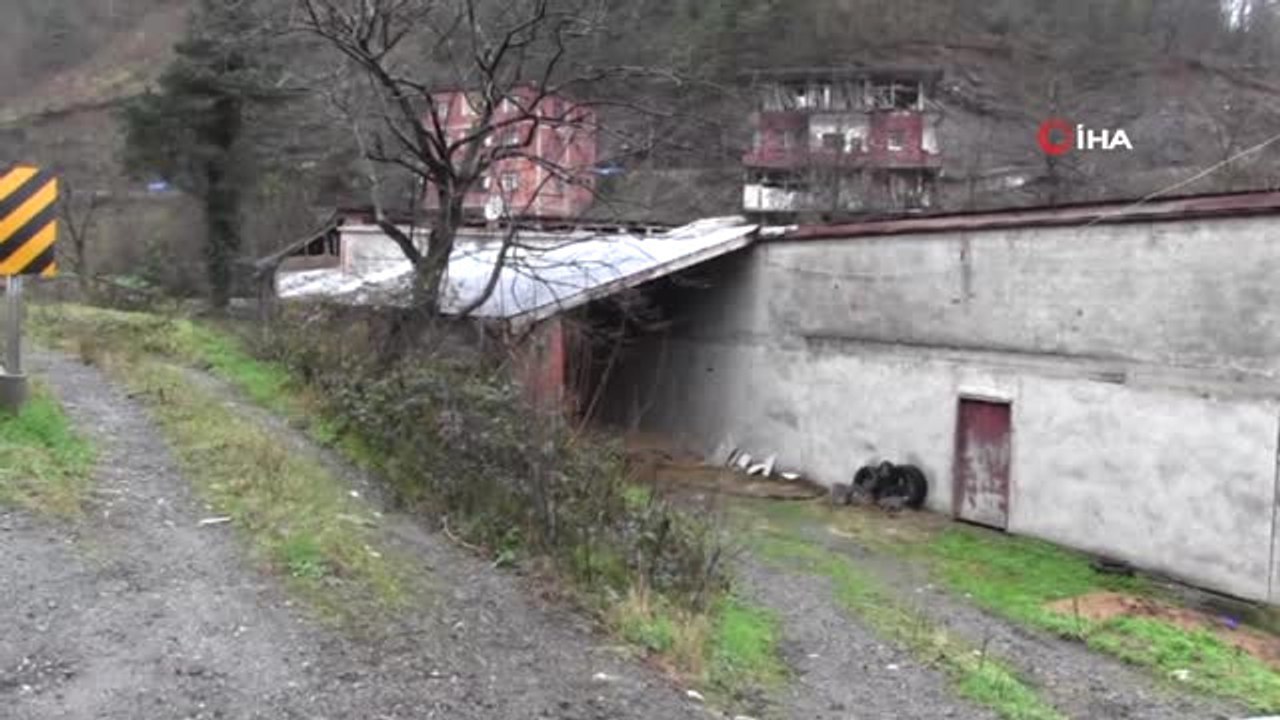 Boğa ile Köpeğin Dostluğu Görenleri Şaşırtıyor