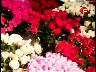 Rosalinda Capítulo 33 Completo Dublado