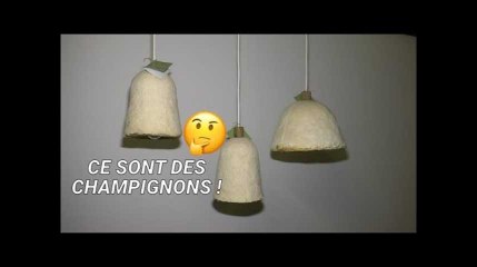 Descargar video: Cette entreprise zéro déchet fabrique des lampes avec des champignons