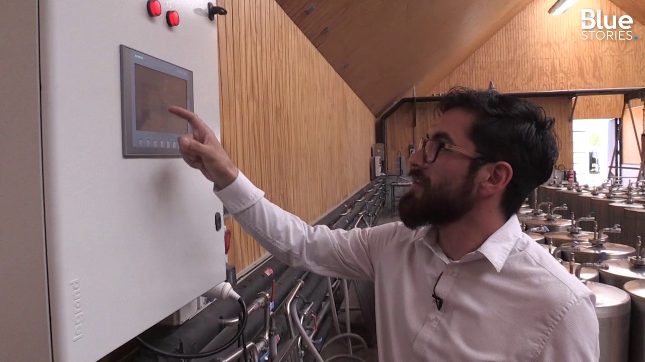 Ce laboratoire chilien développe une intelligence artificielle qui contrôle la fermentation du vin dans les cuves