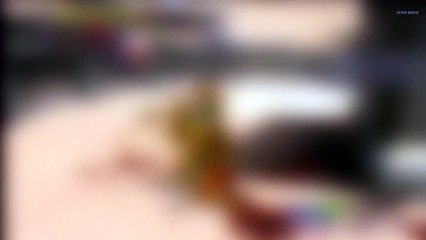 Reconhece esse Game 013