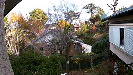 EDR December #27 2018 Noise Campaign