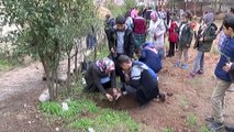 Hadis-i Şerif'ten etkilenen öğrenciler okulun bahçesine fidan dikti