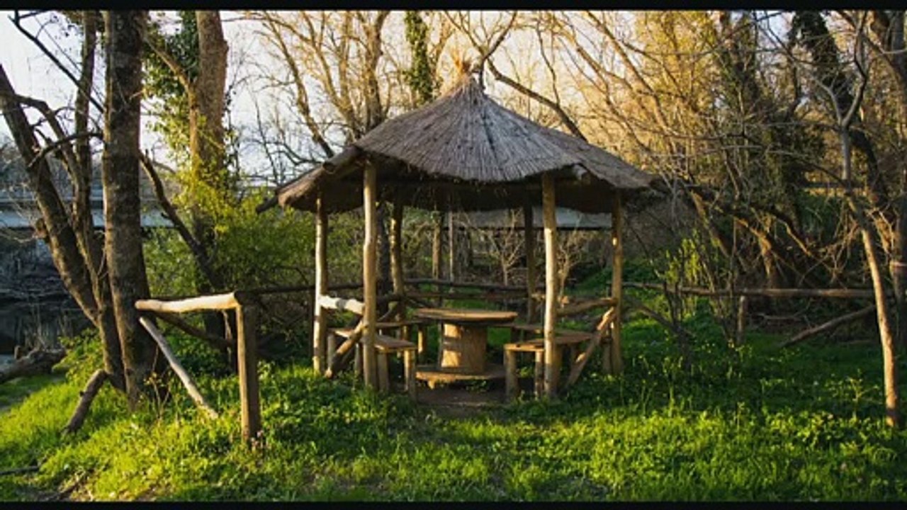 Woodland Birdsong Relaxing Nature Sounds
