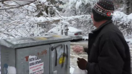 Tokatlı hayvansever 20 yıldır sokak hayvanlarını besliyor