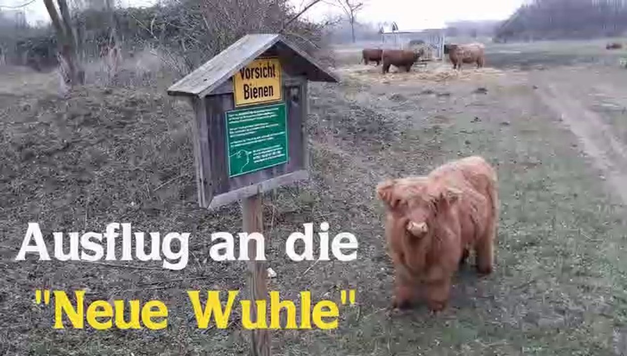 Ausflug an die 'Neue Wuhle'
