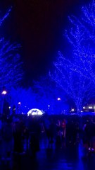 Japan Tokyo Shibuya Blue Parks