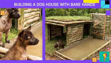 The work this handmade bamboo dog house takes is pure love