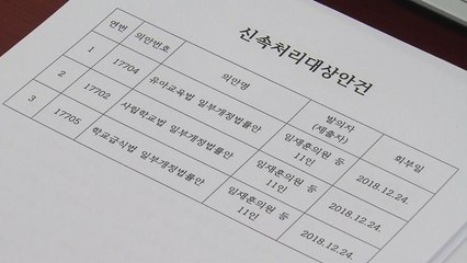 유치원 3법, 연내 처리 불발...사상 2번째 패스트트랙 / YTN