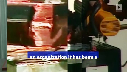 Japan to Resume Commercial Whale Hunting Next Year