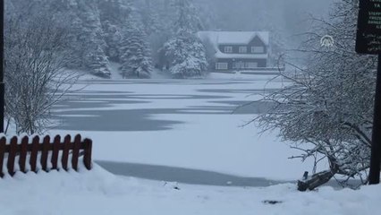Gölcük Tabiat Parkı'ndaki Kır Evlerinin Yapımı Durduruldu - Bolu