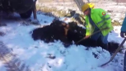 Kar Kış Demeden Hizmetteler