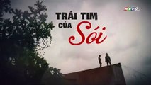 Trái Tim Của Sói Tập 12 - Phim Việt Nam