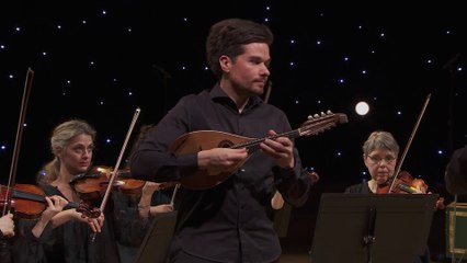 Vivaldi : Concerto pour mandoline en ré Majeur RV 93 P 209 (Julien Martineau / Rinaldo Alessandrini)