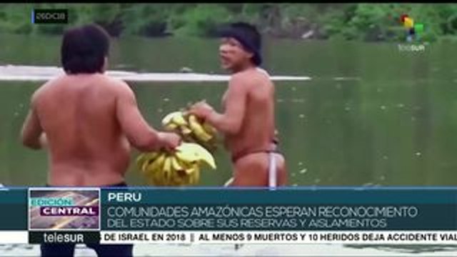 Perú: informe sobre situación de pueblos indígenas en aislamiento