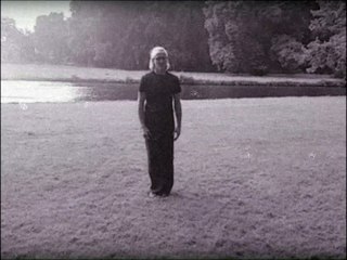 Nine Tigers Form, Gau Fu Kuen by Tai Chi master Douwe Geluk