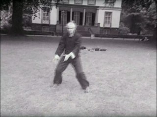 Basic Five Animal Tai Chi Chuan Form by Douwe Geluk