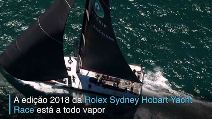 Gigantes dos mares