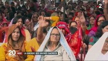 Inde : hindous et musulmans, la guerre des vaches sacrées